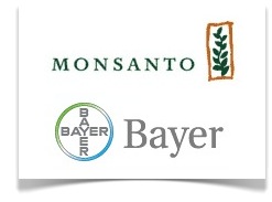 Monsanto And Bayer Engage In Forced Child Labor
